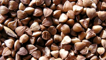 Buckwheat fragment to lose weight